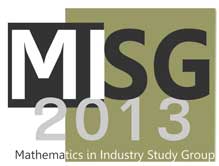 MISG 2013