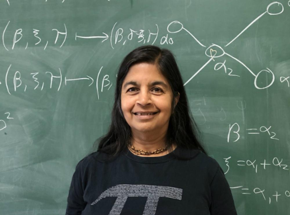 Nalini Joshi in front of a blackboard